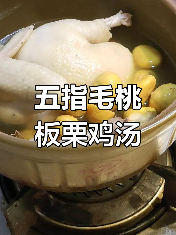 五指毛桃板栗鸡汤,汤鲜香甜,鸡肉嫩滑