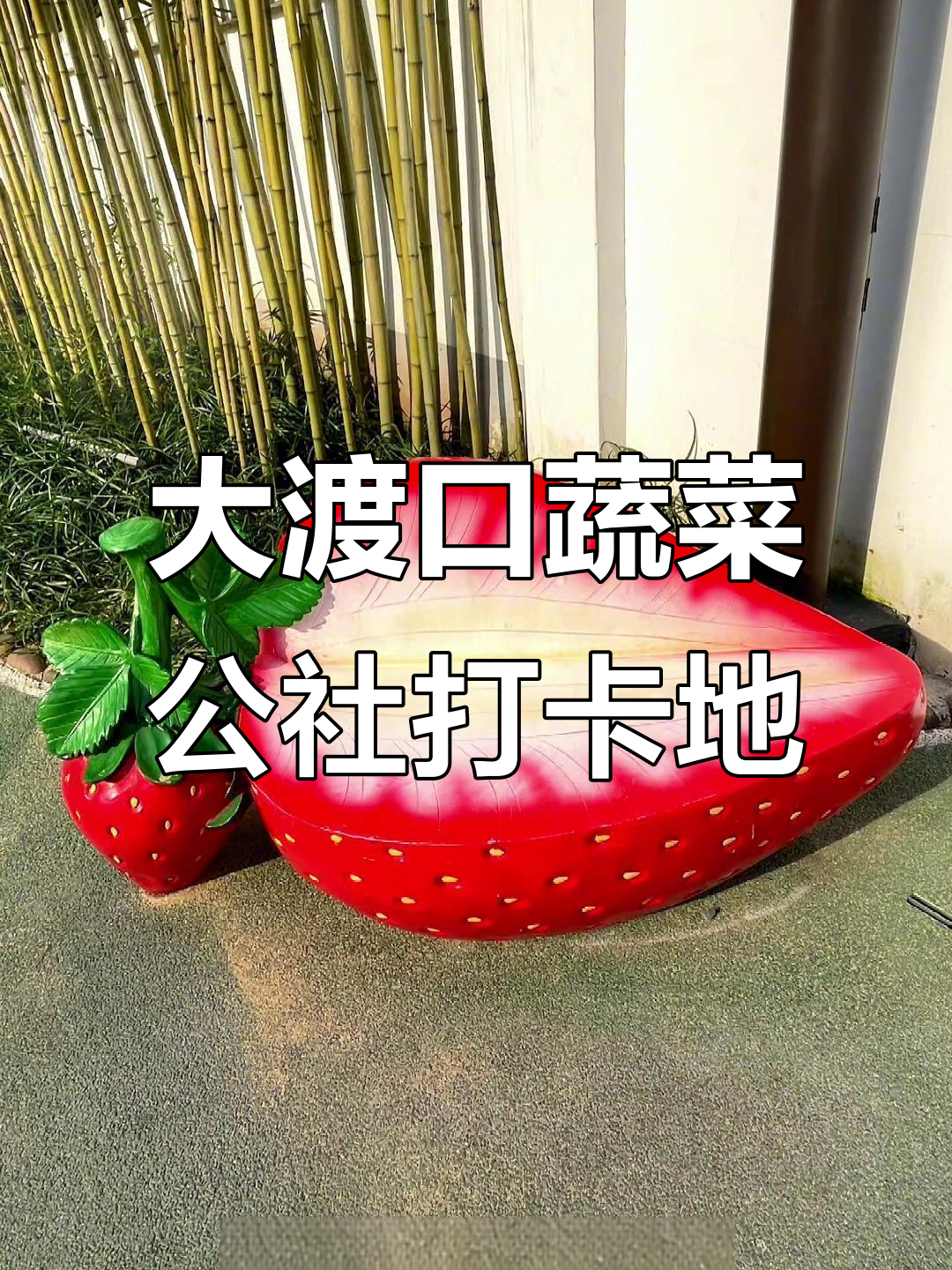 大渡口新晋网红打卡地,蔬菜公社口袋公园亲子游全攻略
