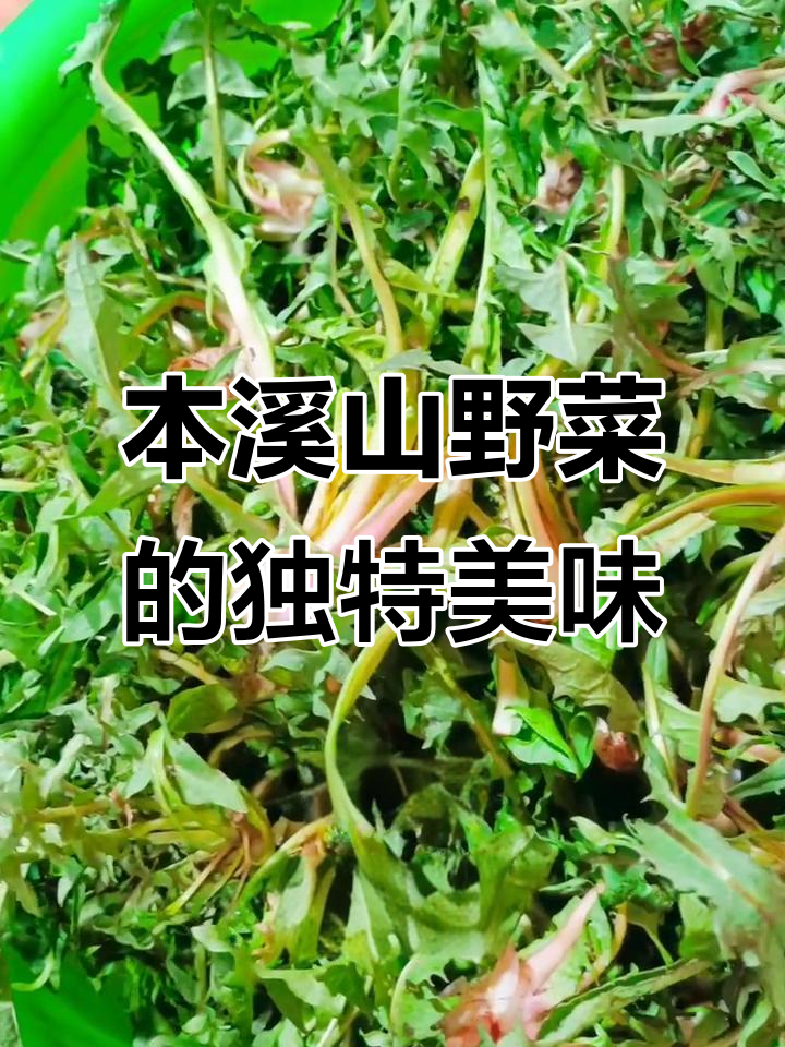 本溪山野菜大揭秘:这些你尝过吗?