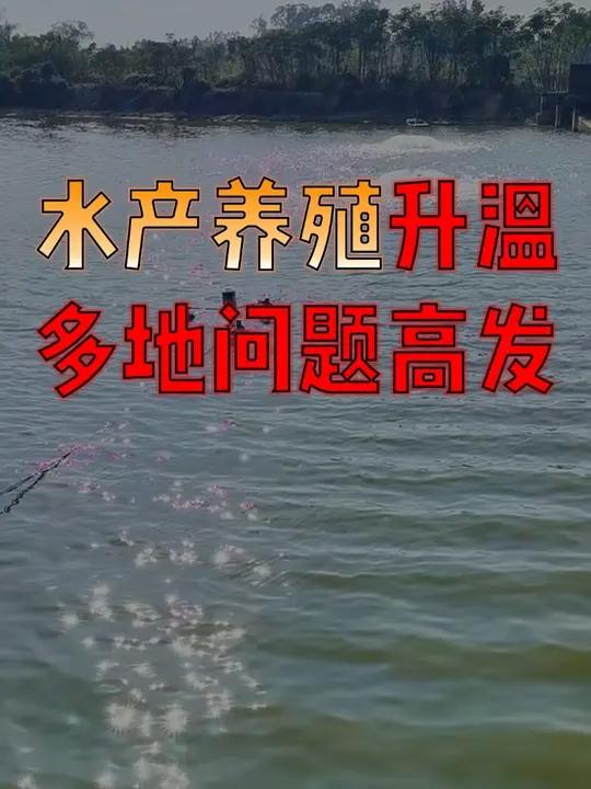 警报拉响!4月多地气泡病高发,一定要提前做好防控!