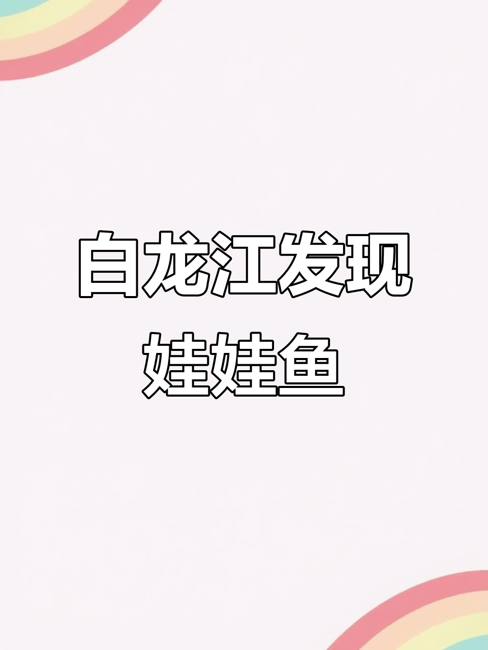 舟曲白龙江现身珍稀娃娃鱼,罕见野生动物亮相