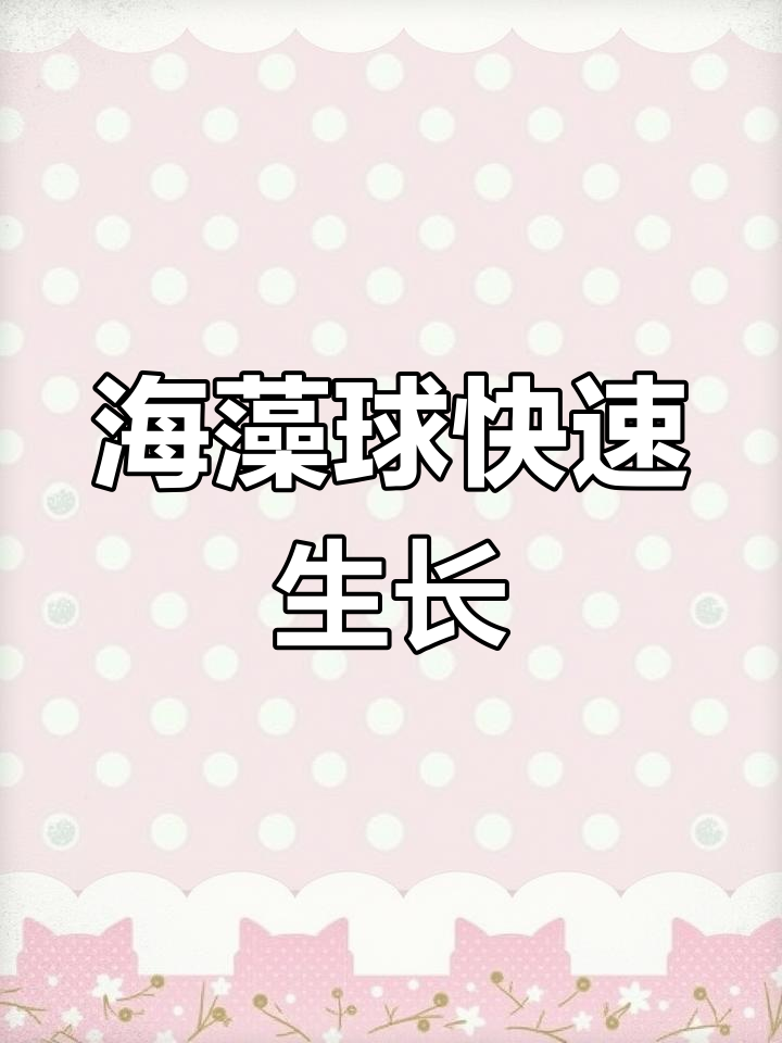 鱼缸中的海藻球成长记