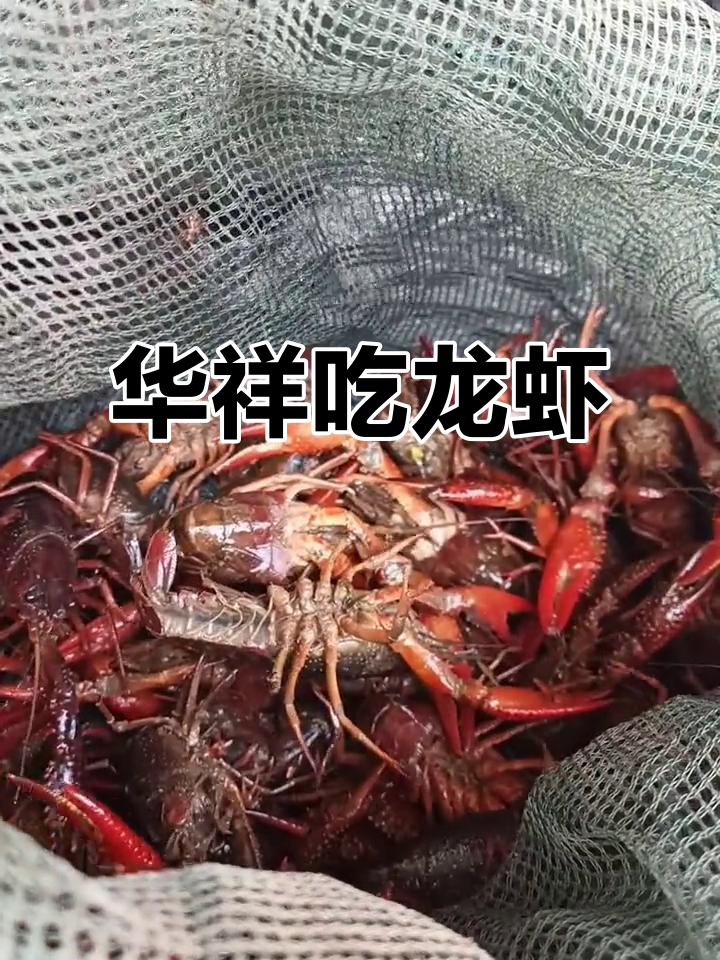 宜昌华祥虾殿,油焖大虾现场实拍!