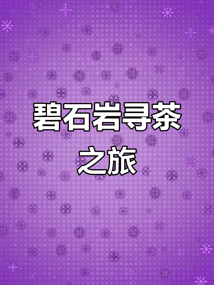 探秘碧石岩老茶厂,感受坑涧气息与肉桂茶的魅力