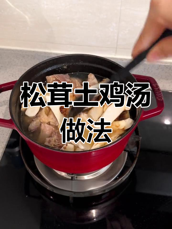 新鲜松茸炖鸡汤,保存与清理技巧全攻略