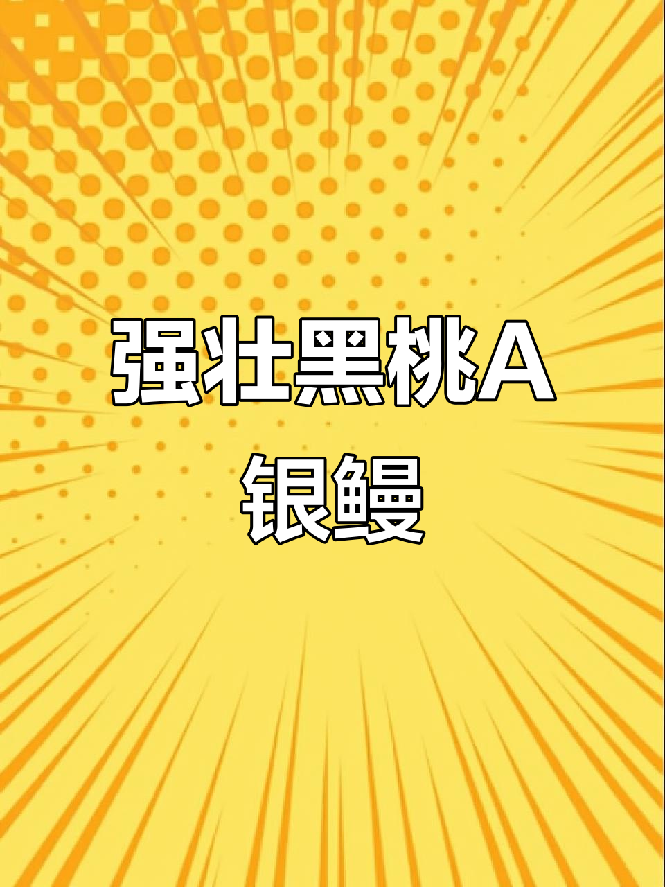 黑桃A银板鱼：强健、群游，完美搭配龙鱼的观赏选择