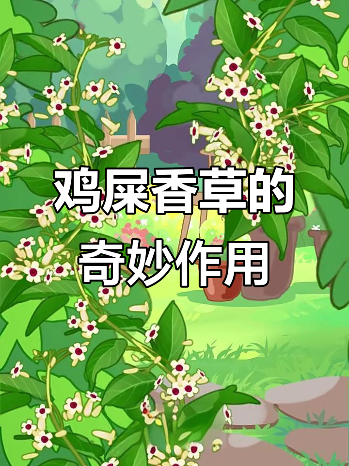鸡屎藤:消食又美观,园林景观中的神奇植物