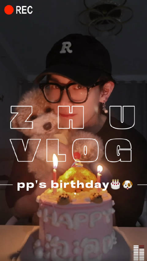 泡泡公主2岁生日vlog   经过验证 小狗能吃的蛋糕人也能吃 就是……emm……确实不咋