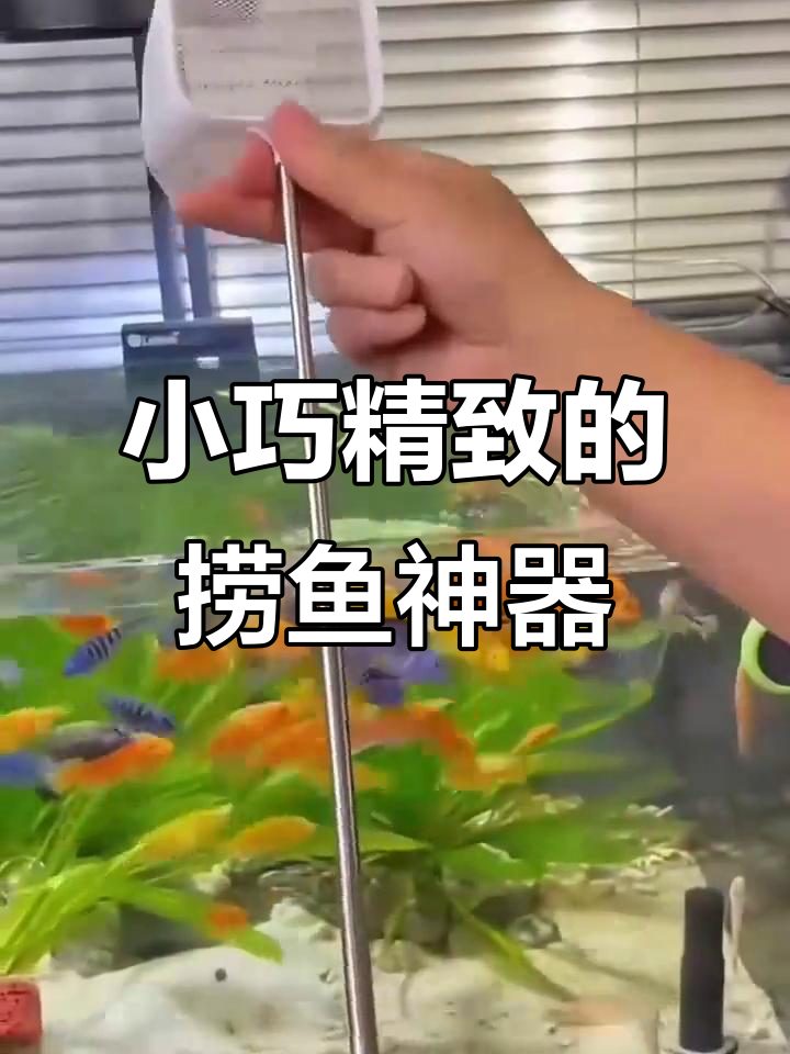 3D小鱼网,轻松捞鱼不伤身,伸缩自如超方便