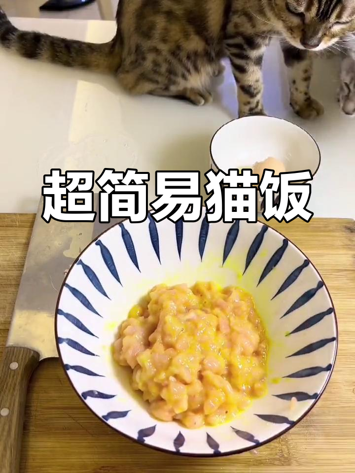 简单蒸猫饭,鸡胸肉和鸡蛋搞定!