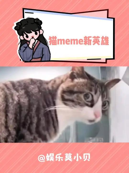 猫meme新英雄 搞笑 万万没想到 猫meme 表情包