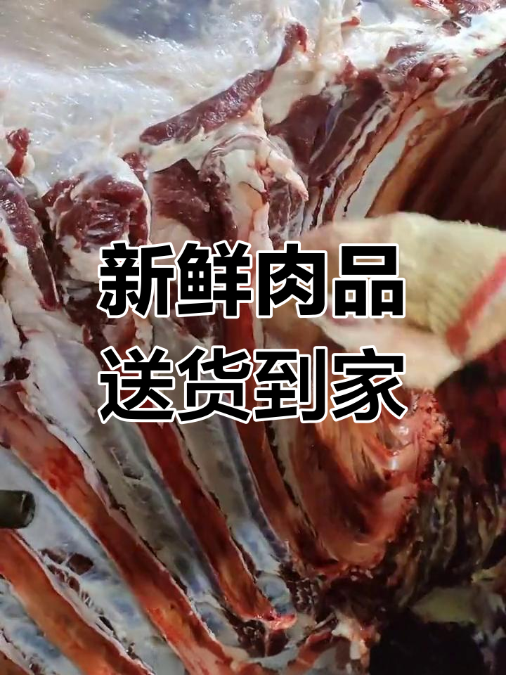 绵阳屠宰场直送,新鲜牛羊肉上门!