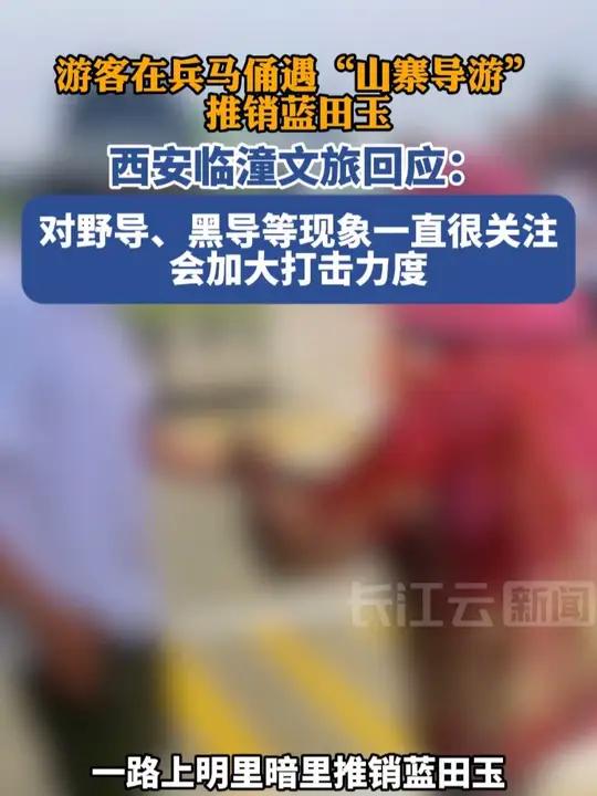 游客在兵马俑遇“山寨导游”推销蓝田玉 西安临潼文旅回应:对野导、黑导等现象一直很关注,会加