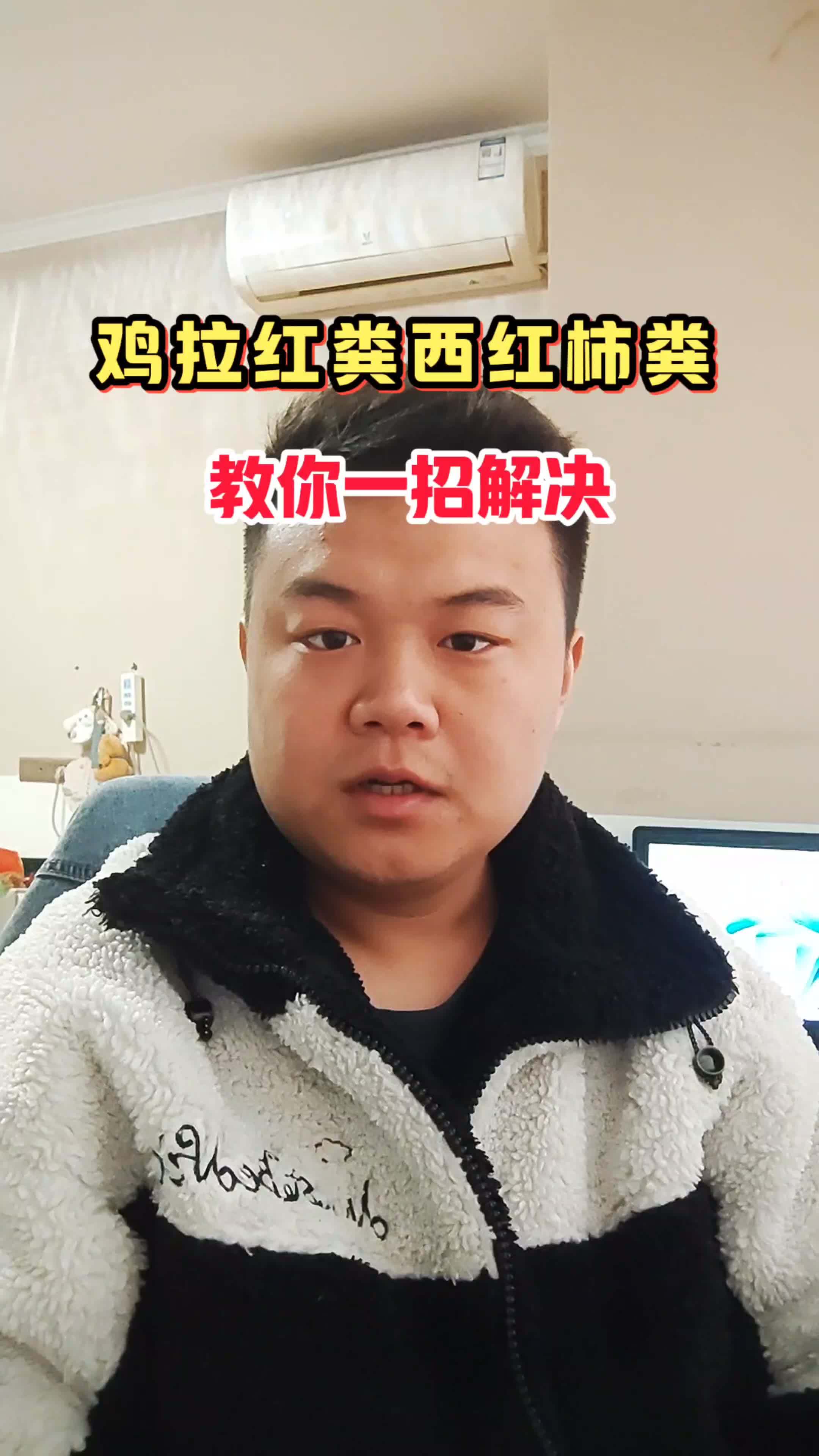养鸡 养鸡技术 生态散养土鸡 散养土鸡 农村散养土鸡