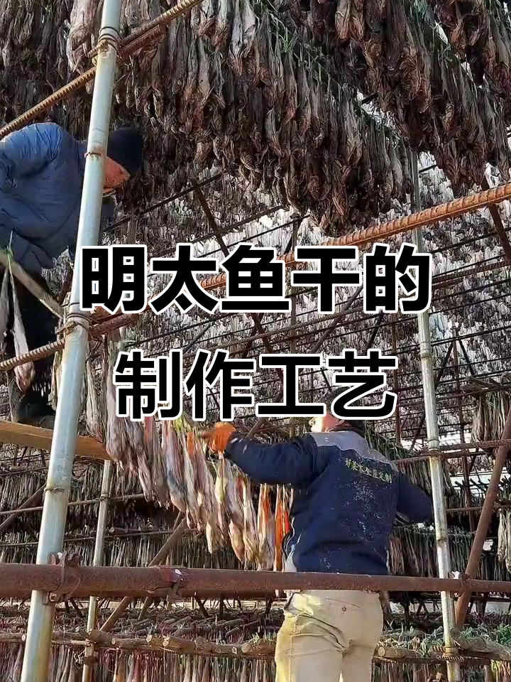 延边明太鱼干:传统手艺与美味传承