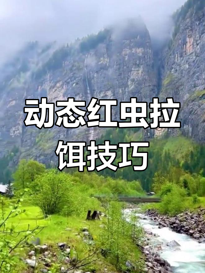 红虫伴侣使用技巧:如何让饵料更饱满,诱鱼效果更强