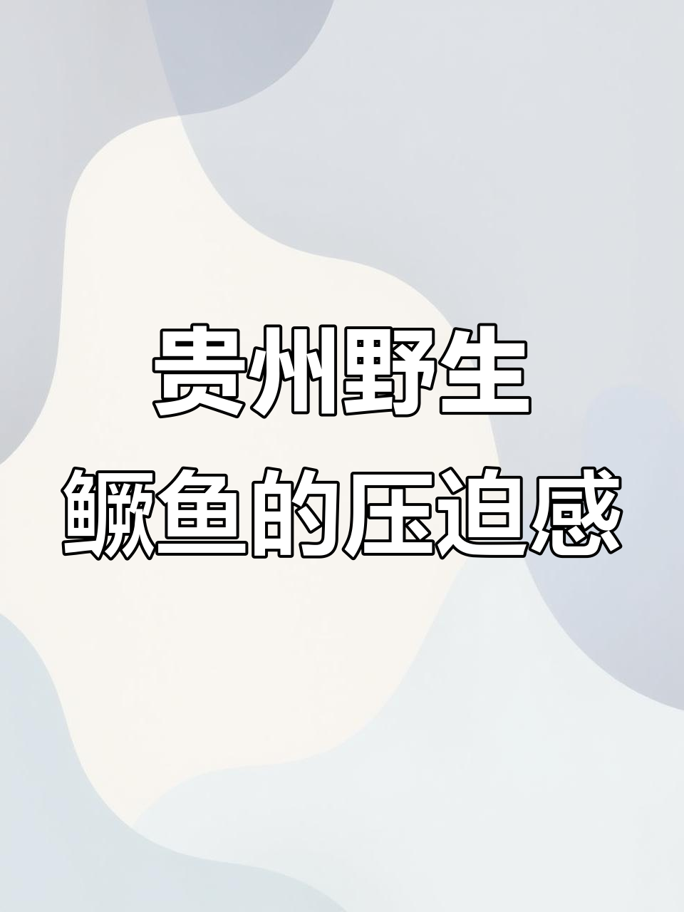 贵州溪流野生鳜鱼,磅礴气势震撼来袭