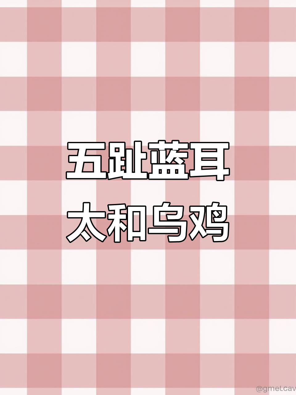 蓝色耳朵的乌鸡，五个脚趾的美貌与药用价值