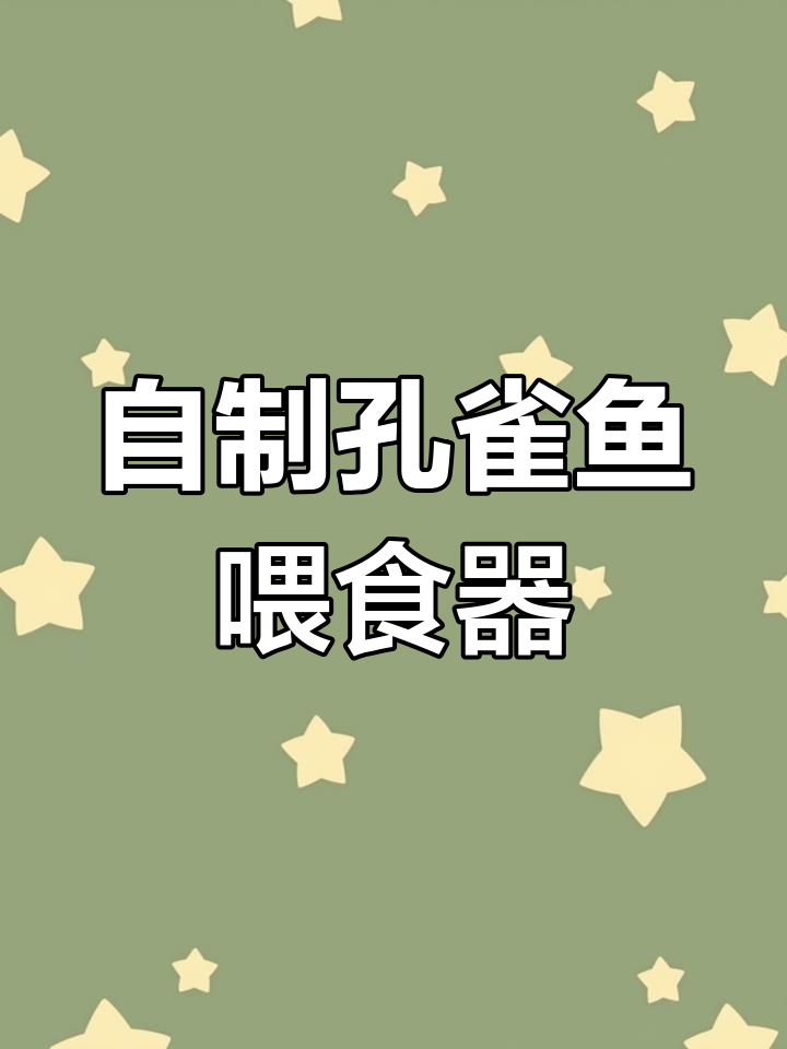 矿泉水瓶变喂食器,轻松搞定热带鱼定点投喂