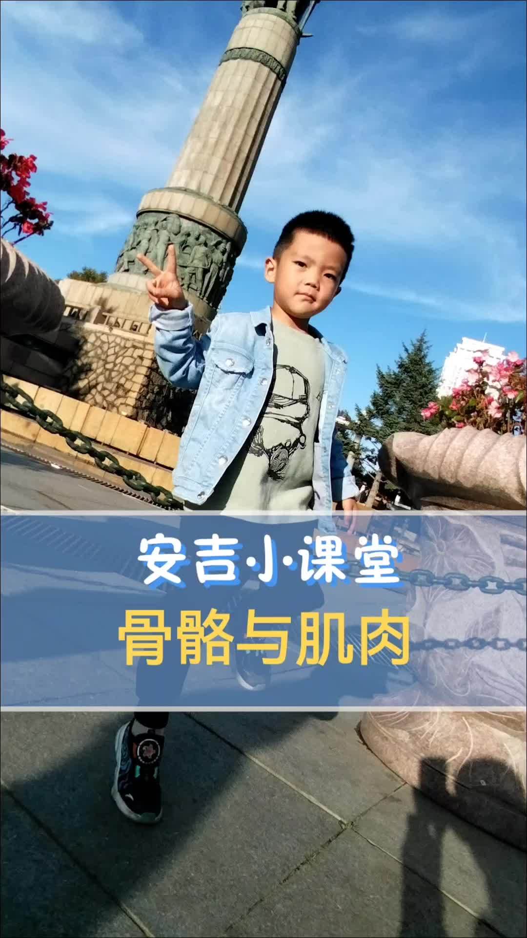 安吉小课堂之骨骼与肌肉 骨骼 骨骼的作用 肌肉 肌肉的作用