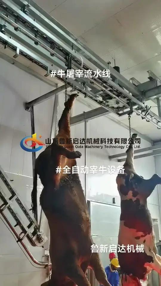 牛屠宰流水线 肉牛屠宰流水线 宰牛设备 牛屠宰设备安装 自动化牛屠宰线，全套牛屠宰机器，大