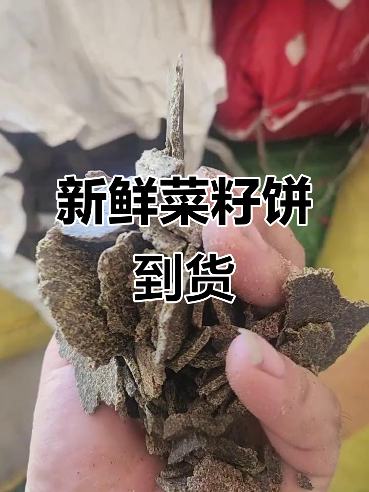 纯天然菜籽饼到货,新鲜无添加