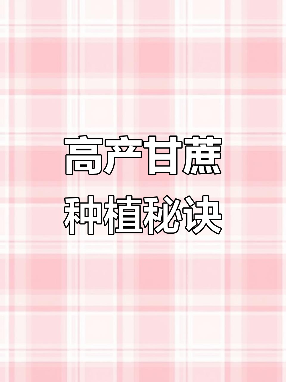 北方甘蔗高效种植技巧,去苗留强提高产量