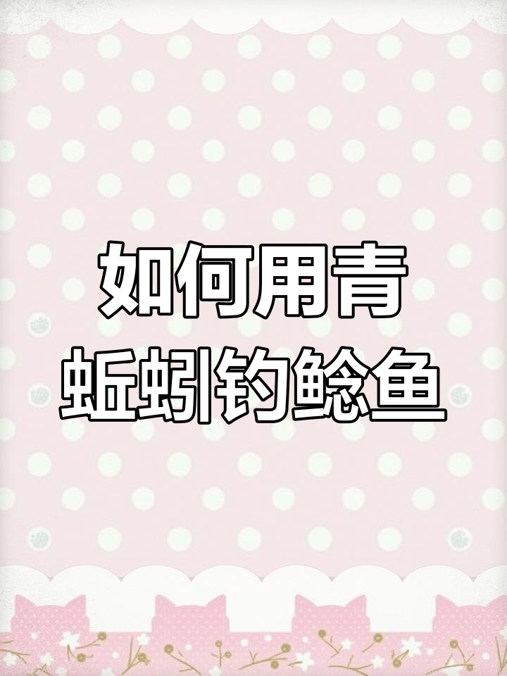 钓鲶鱼必备饵料与技巧,轻松爆护!