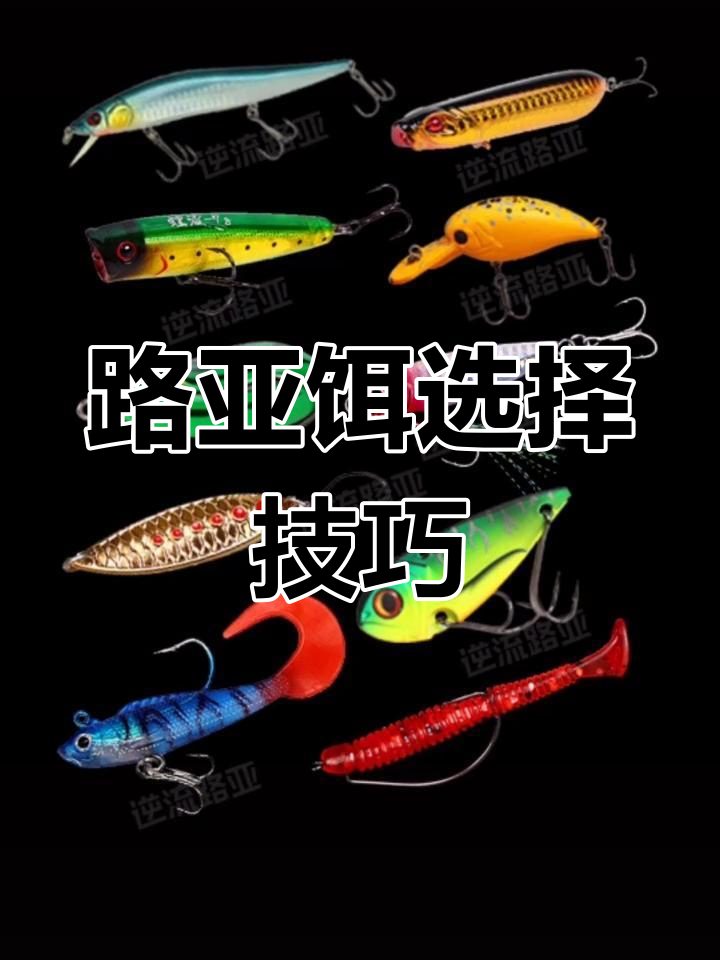 路亚饵选择全攻略:如何根据鱼种和环境搭配饵料