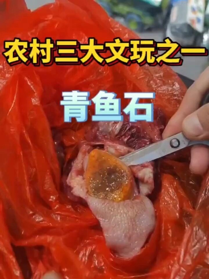 青鱼石全攻略