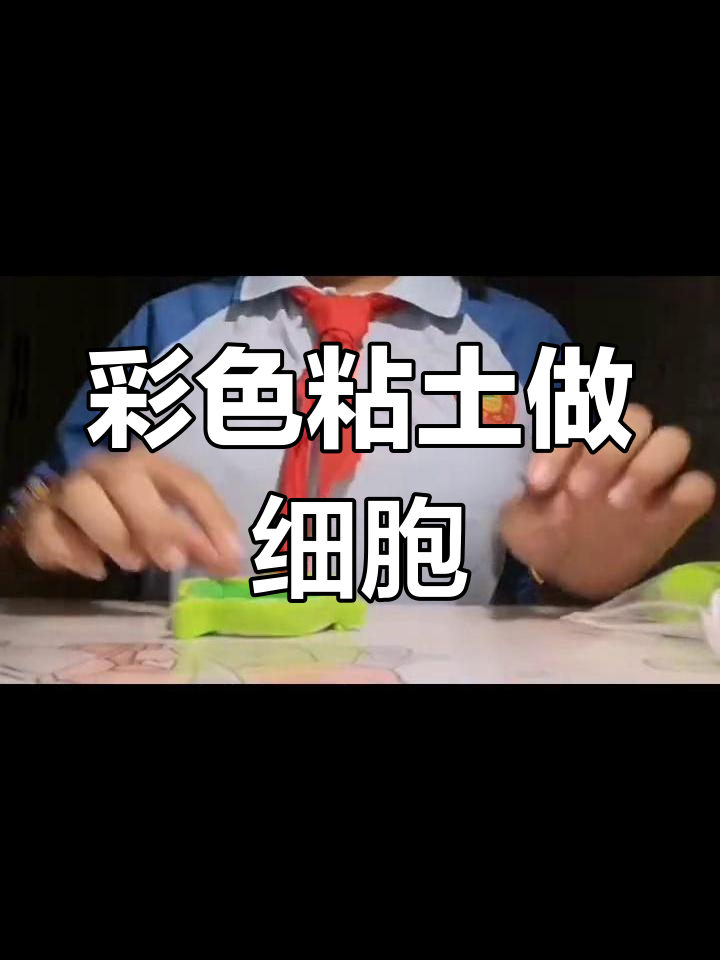 用粘土制作植物细胞模型