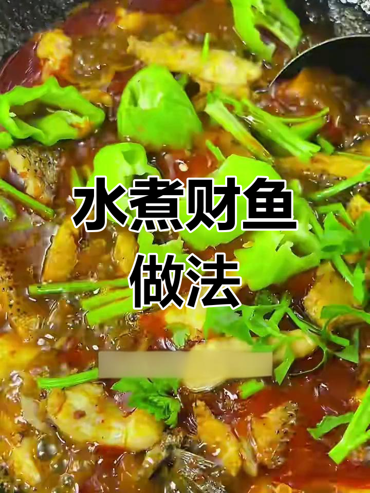 湖北荆沙水煮财鱼,麻辣鲜香让人停不下来
