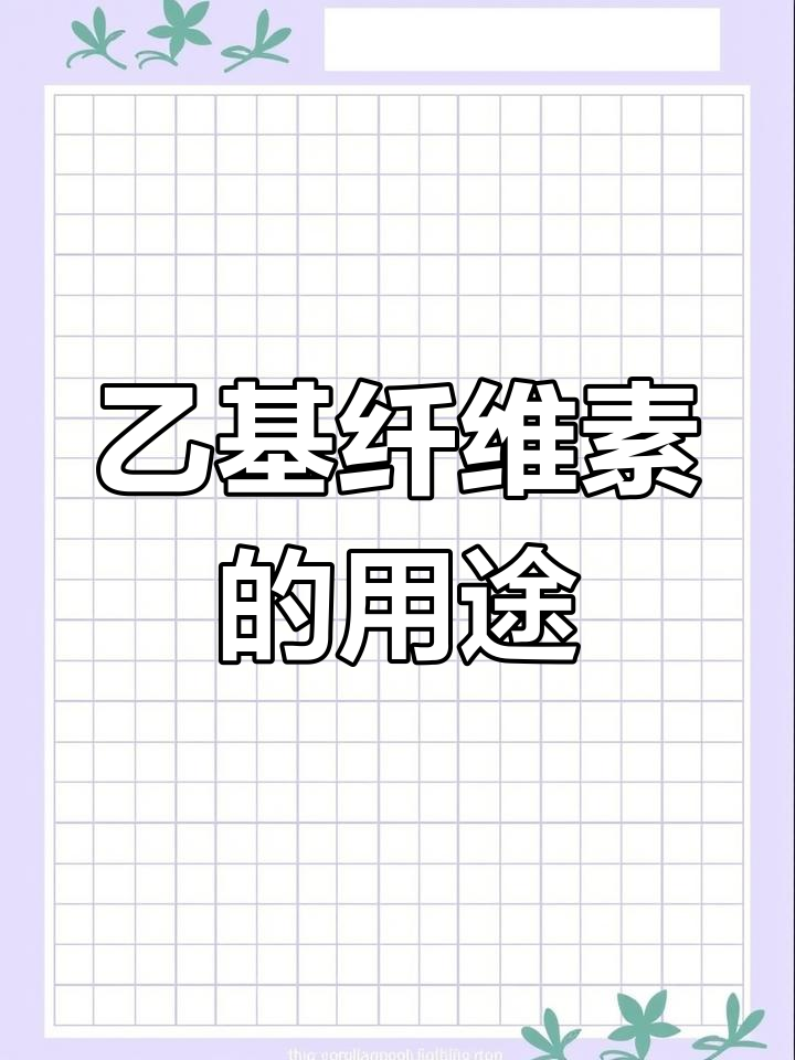 乙基纤维素:多用途的食品添加剂