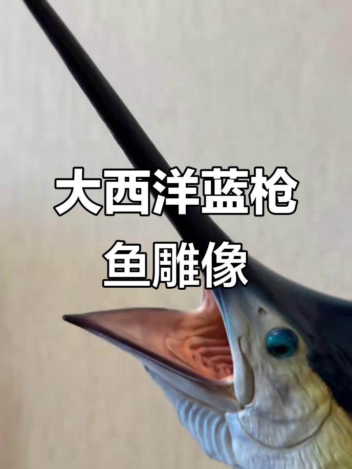 海洋堂大西洋蓝枪鱼雕像，带你感受海钓的魅力