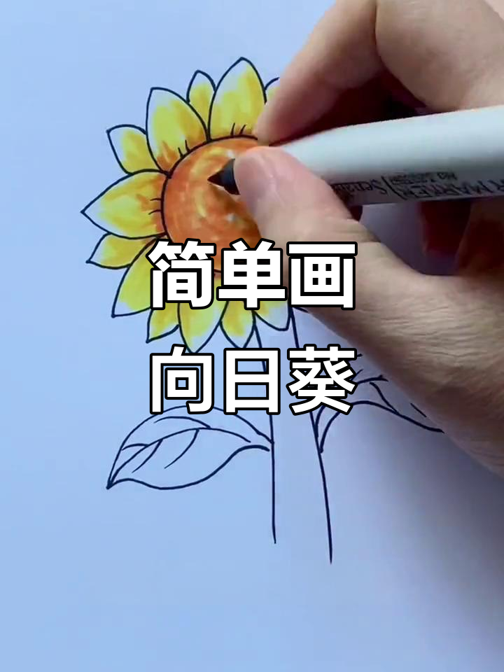 向日葵简笔画,轻松画出不一样的向阳花