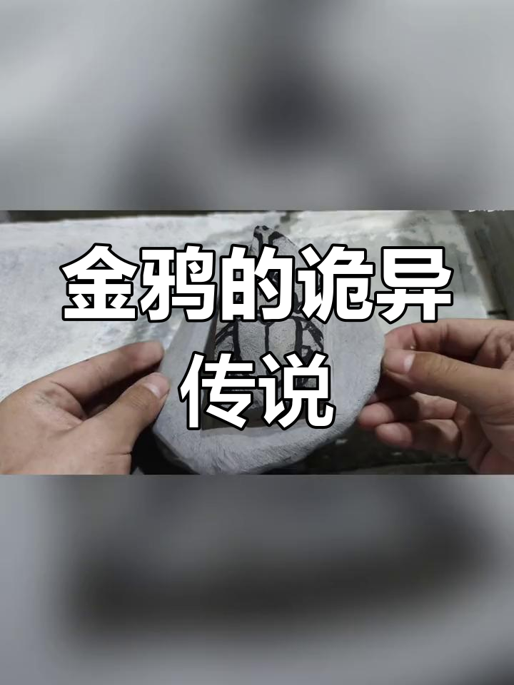 神秘金鸭背后的秘密