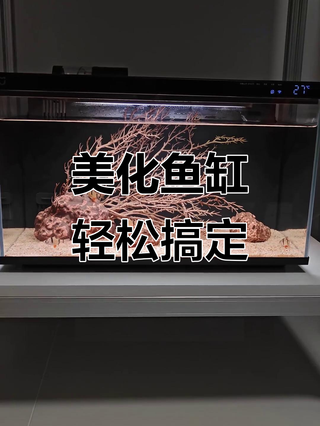 小米鱼缸造景,简单搭配就能出奇美效果!