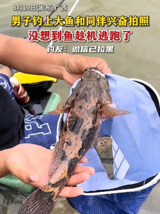 男子钓上大鱼和同伴兴奋拍照,没想到鱼趁机逃跑了(来源:@ZZzz)