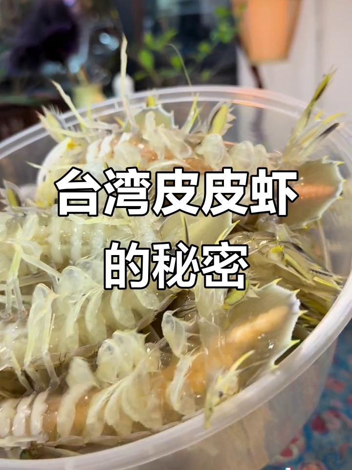 台湾皮皮虾竟然能生软蛋,这家海鲜店回头客超多
