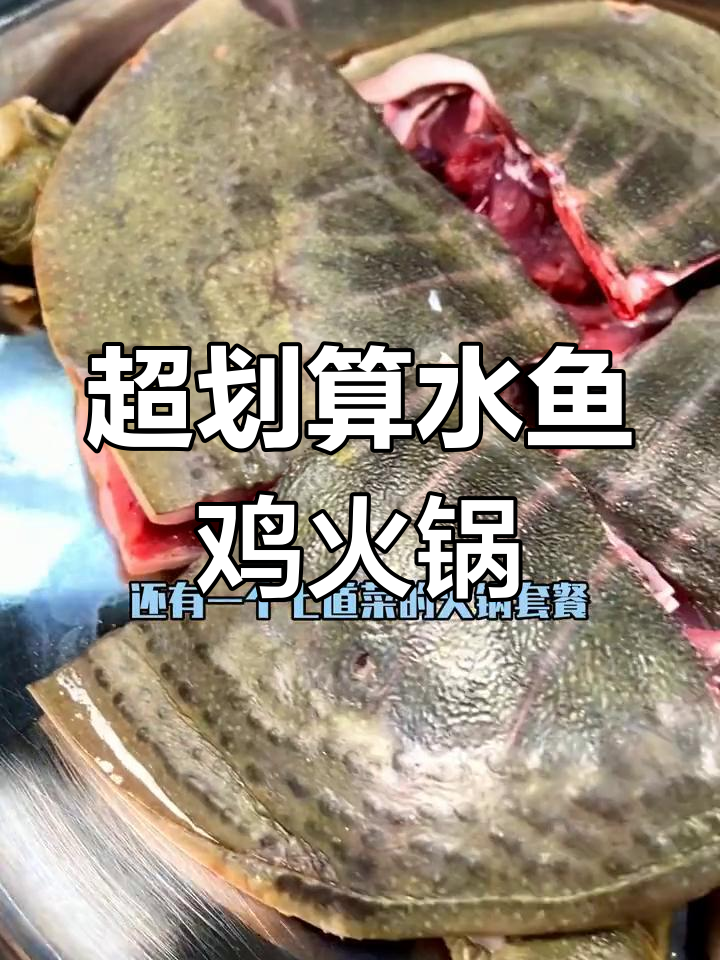 不到百元,水鱼鸡火锅套餐超值体验