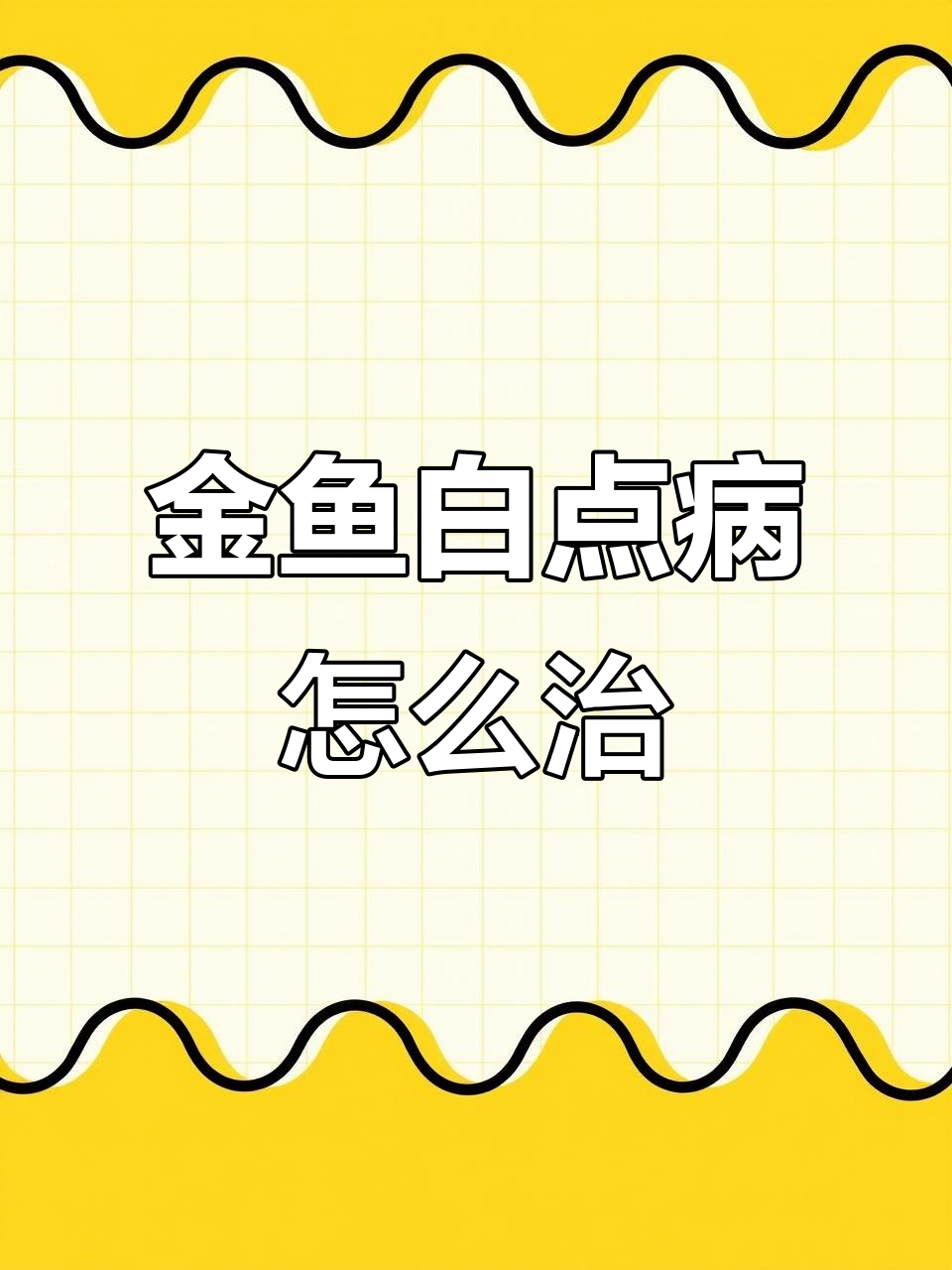 金鱼白点病治疗法:升温、加盐能见效吗?