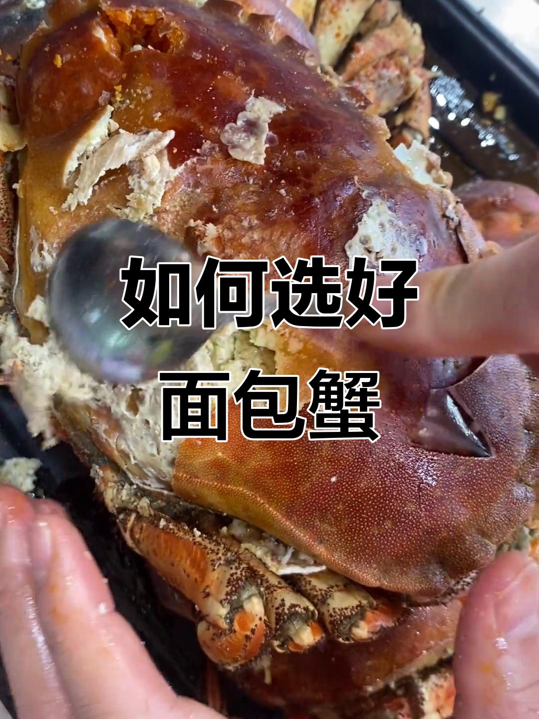 面包蟹的秘密:如何挑选最肥美的黄膏肉