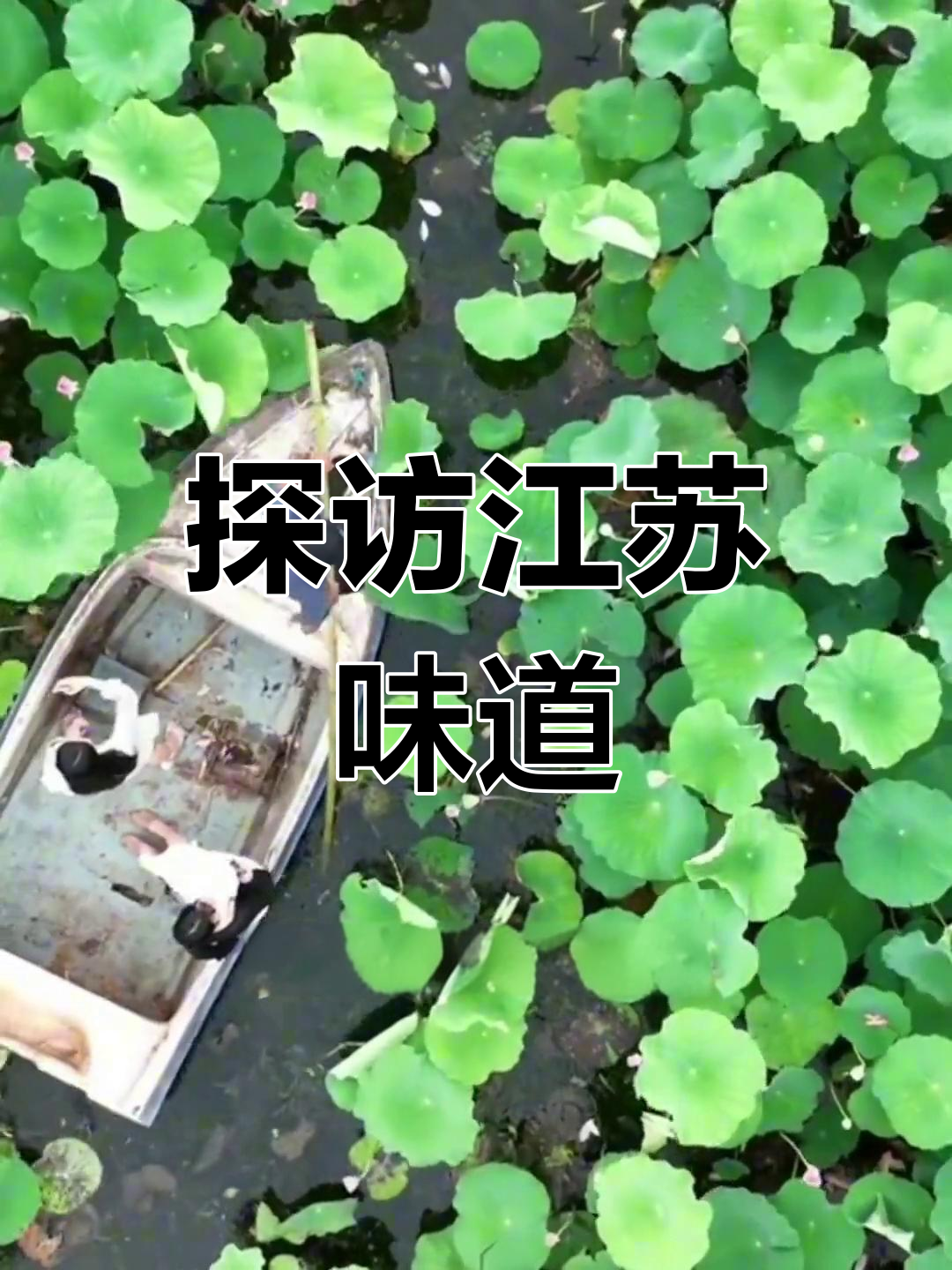 江苏美食大揭秘:金陵菜与淮扬菜的独特魅力