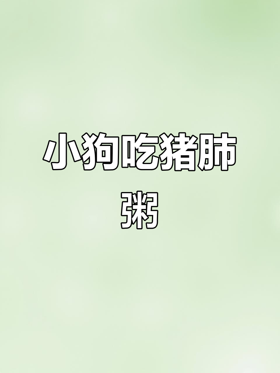 广西土猎犬吃猪肺粥,吃得满嘴流油,太香了!