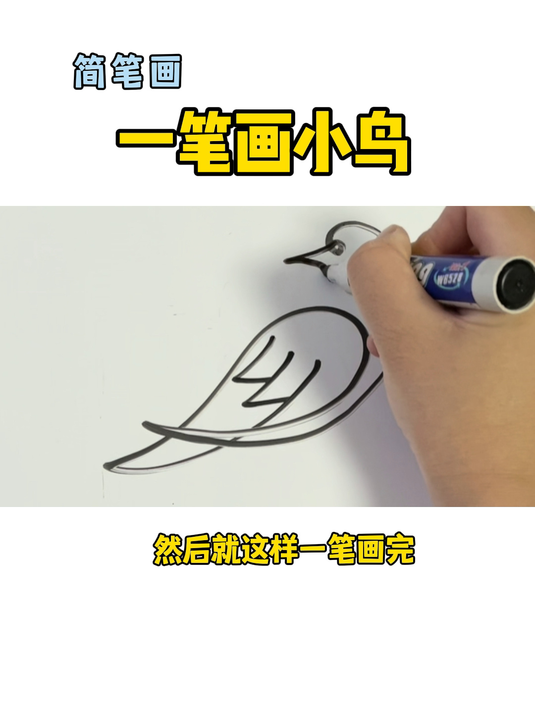 一笔画小鸟