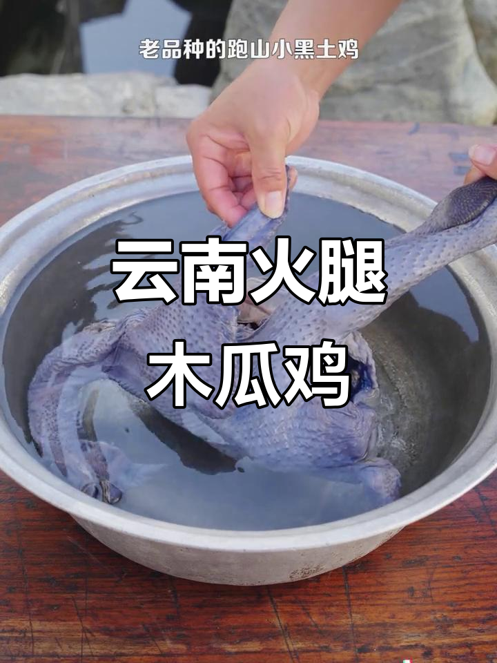 云南特色火腿木瓜鸡，一整只跑山小火土鸡的美味演绎
