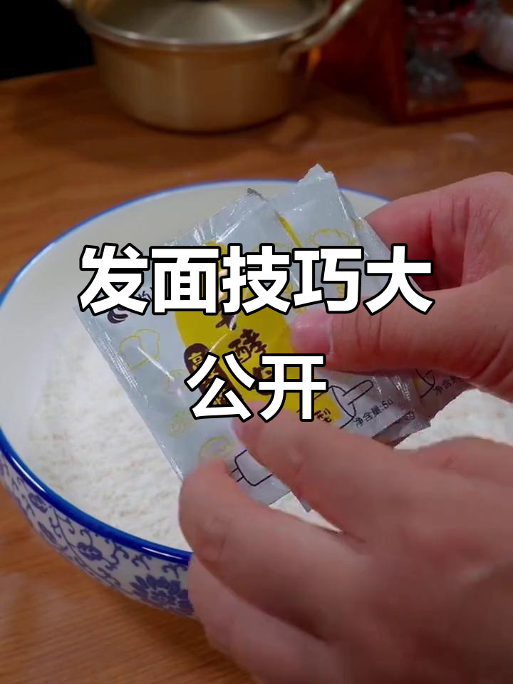 教你轻松做包子馒头,发酵秘诀全揭秘