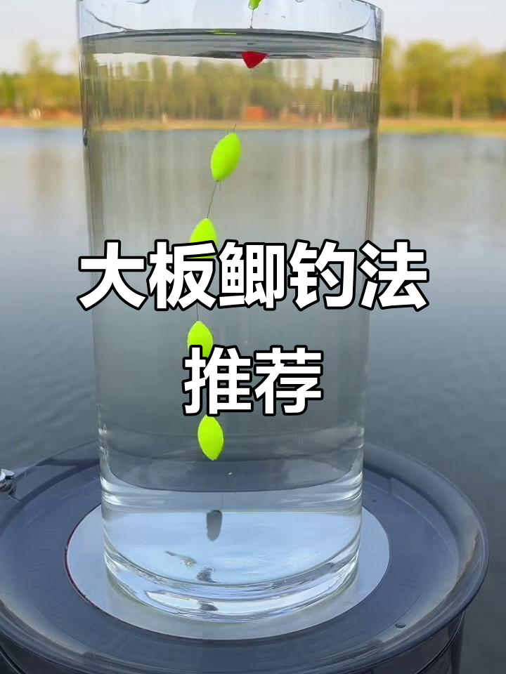 钓大板鲫必备七星漂朝天钩,轻松掌握传统钓鱼技巧