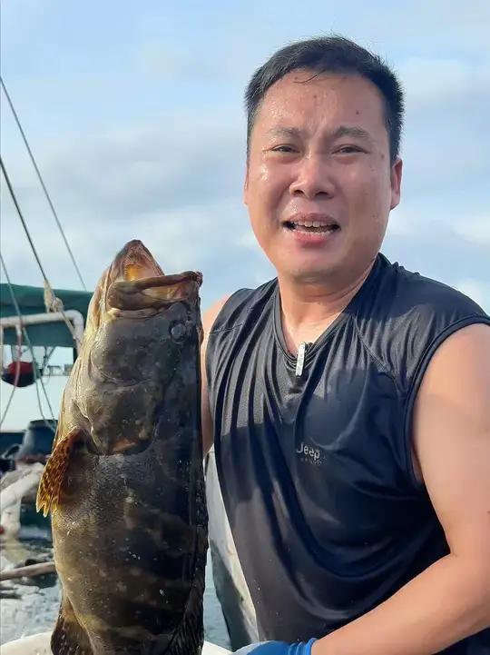 马上过年了,餐桌上来一条石斑鱼,既好吃又有面子,都是新鲜上岸的,在海里吃小鱼小虾长大的,家