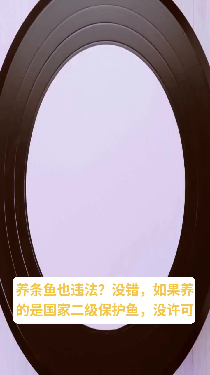 饲养国家二级保护鱼违法吗